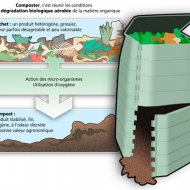 Illustration compostage - Sdis 91 